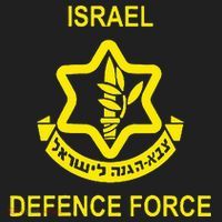 Israel Army (Idf) Israel Defense Force Beanie thumb 2