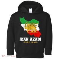 IRAN AZADI Iran Flag Map Lion Sun Sword Free Iran Revolution Toddler Hoodie thumb 0