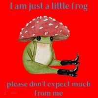 I Am Just A Little Frog Dont Expect Much Cute Cartoon Santa Hat thumb 1
