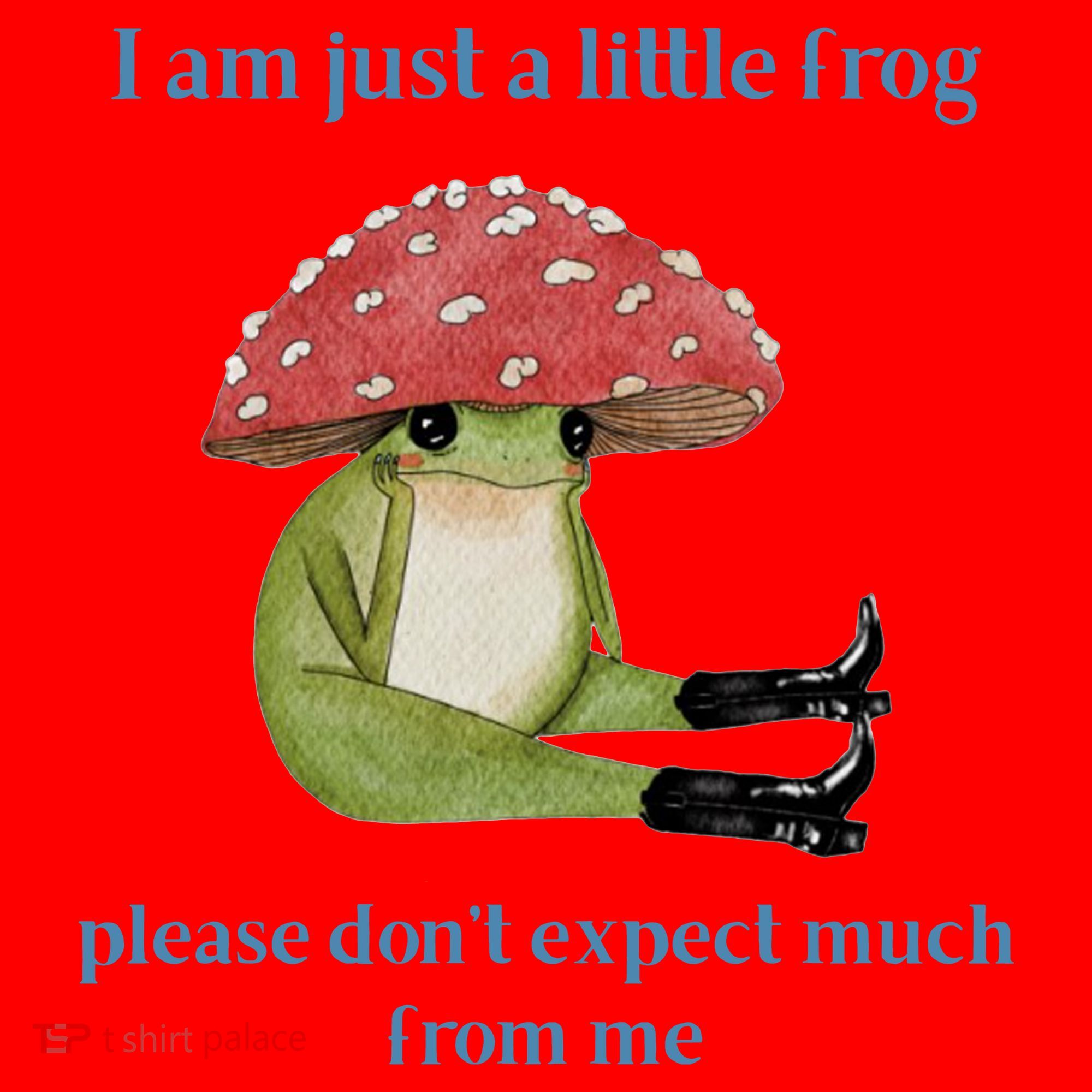 I Am Just A Little Frog Dont Expect Much Cute Cartoon Santa Hat
