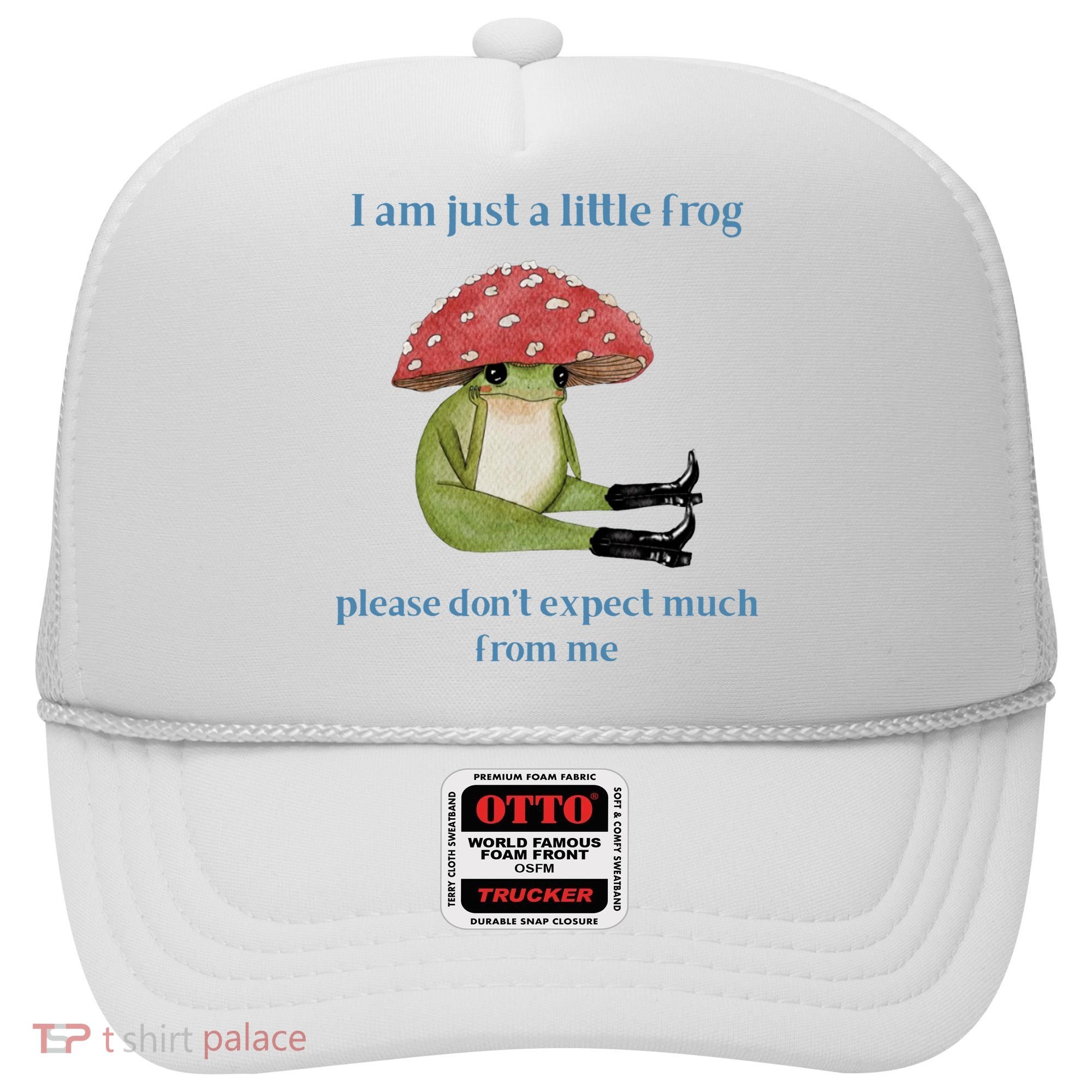 I Am Just A Little Frog Dont Expect Much Cute Cartoon Hat