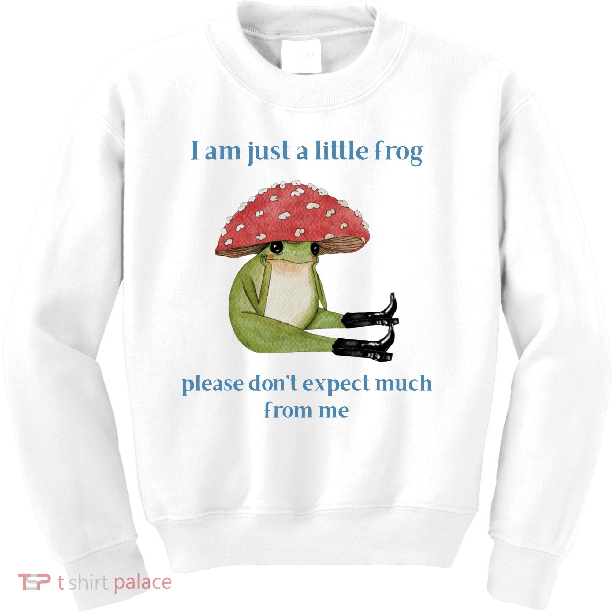 I Am Just A Little Frog Dont Expect Much Cute Cartoon Kids Sweatshirt