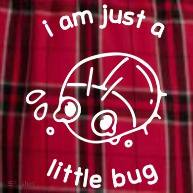 I Am Just A Little Bug Women's Flannel Plaid Pajama Pants