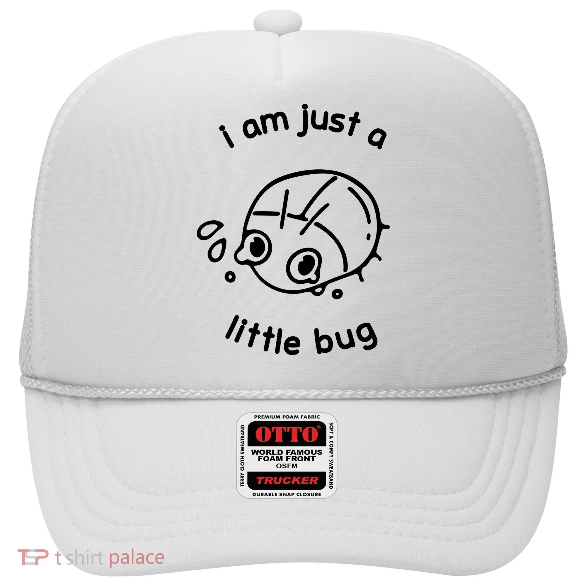 I Am Just A Little Bug Hat