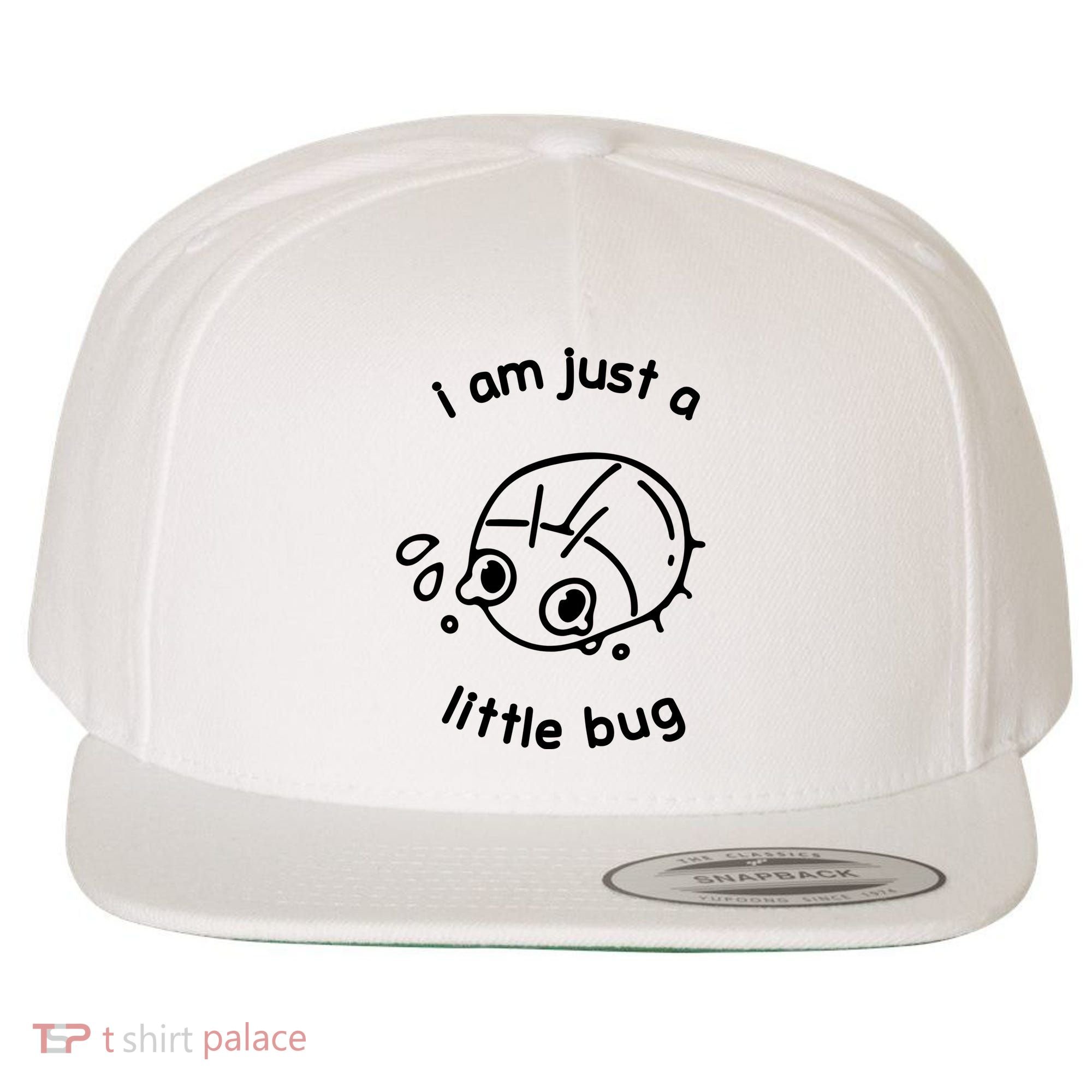 I Am Just A Little Bug Wool Snapback Cap