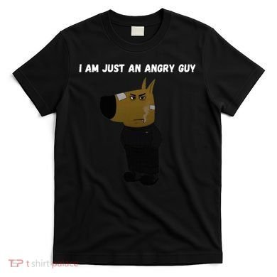 I Am Just An Angry Guy Meme Funny T-Shirt