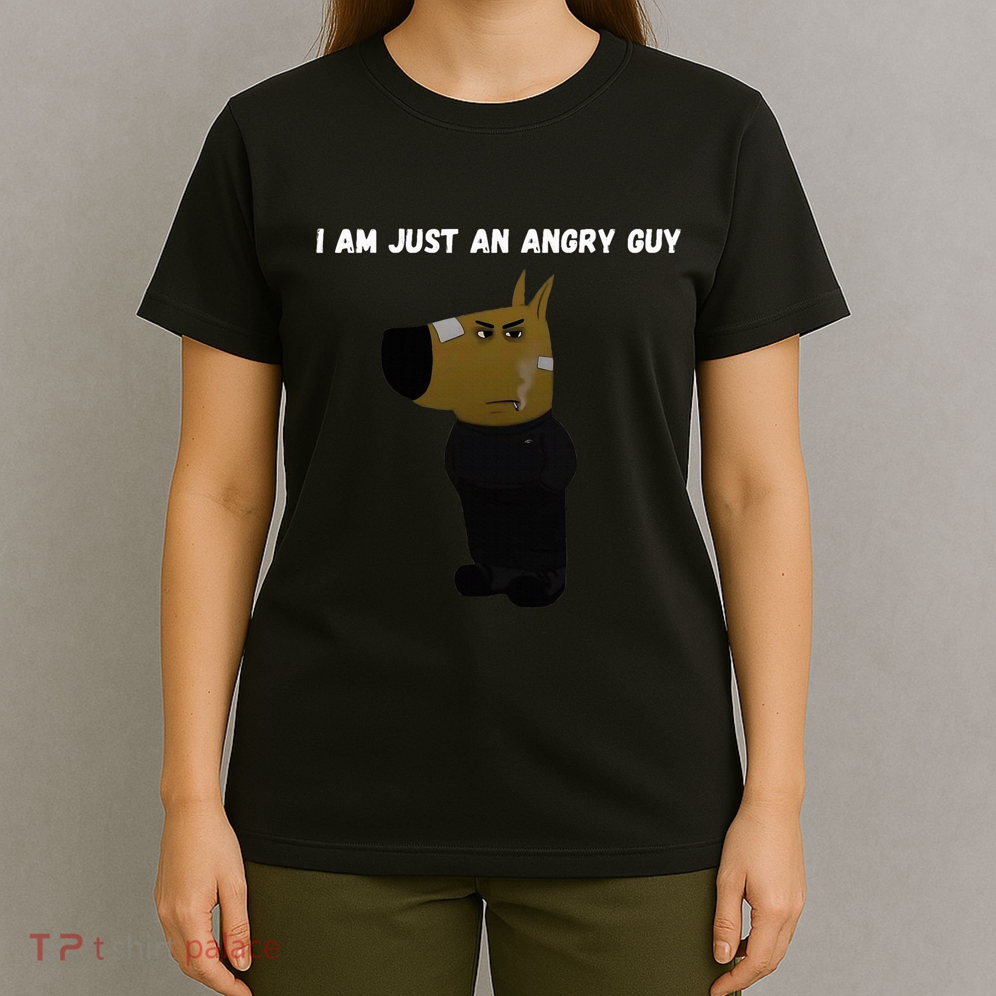 I Am Just An Angry Guy Meme Funny T-Shirt