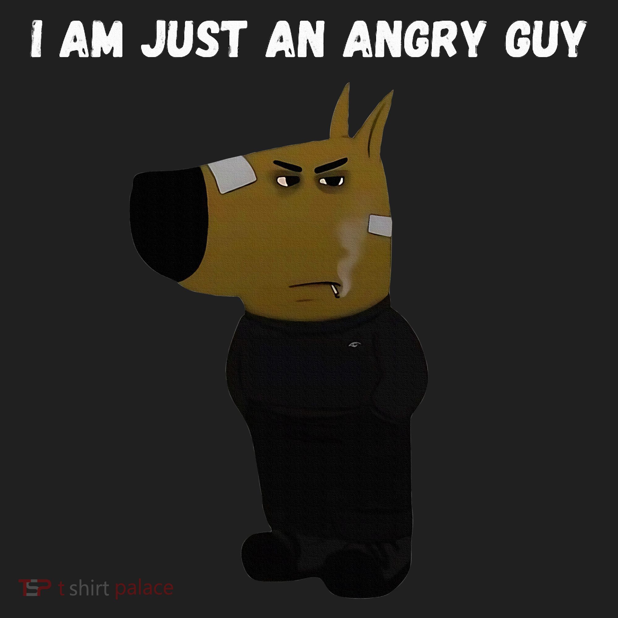 I Am Just An Angry Guy Meme Funny Beanie