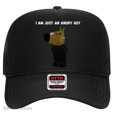 I Am Just An Angry Guy Meme Funny Hat