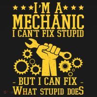 I'm A Mechanic I Can't Fix Stupid But I Can Fix What Stupid Does USA-Made Doggie Bandana thumb 2