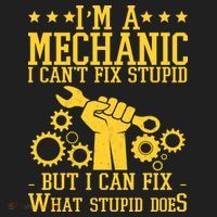 I'm A Mechanic I Can't Fix Stupid But I Can Fix What Stupid Does Beanie thumb 2