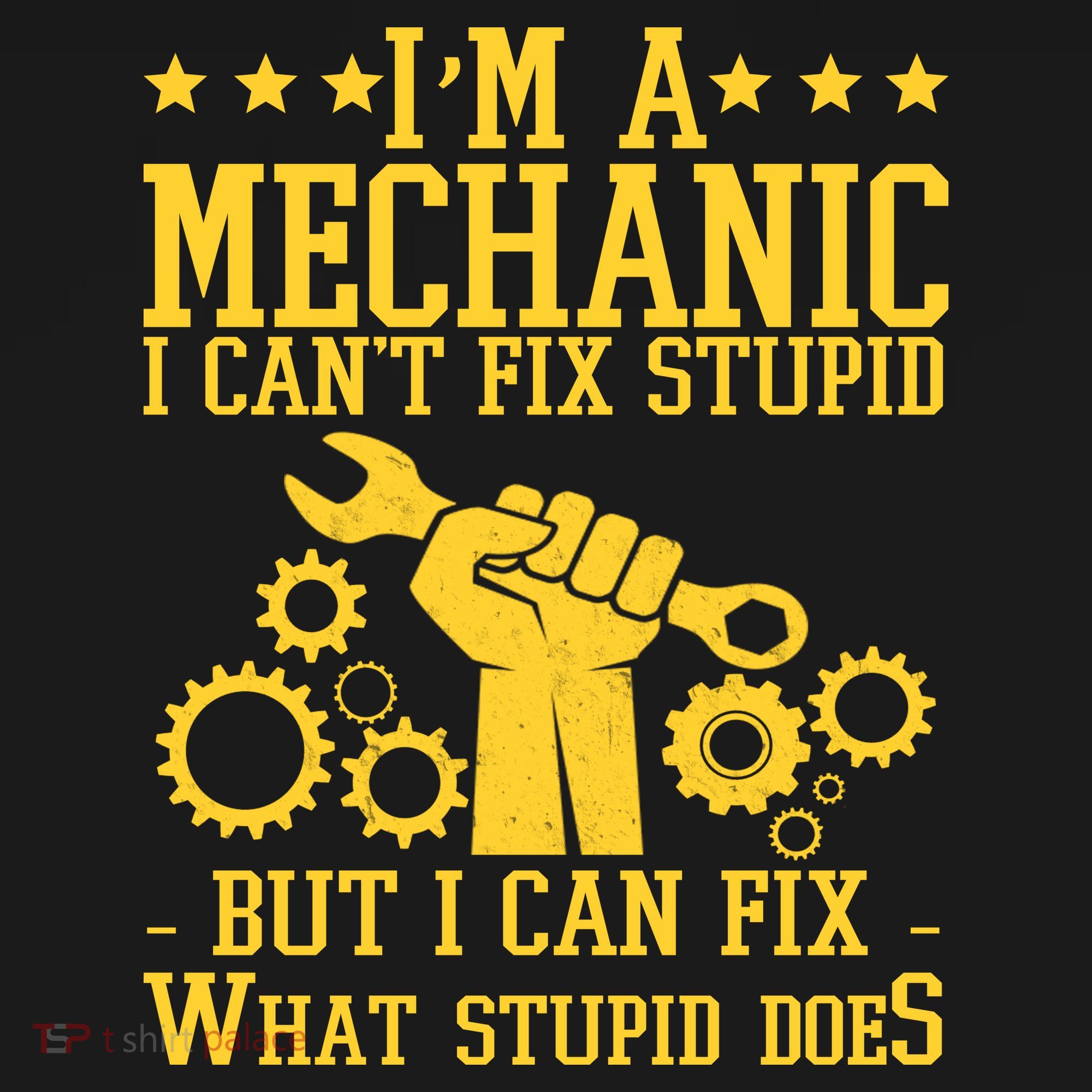 I'm A Mechanic I Can't Fix Stupid But I Can Fix What Stupid Does Women's Hoodie