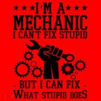 I'm A Mechanic I Can't Fix Stupid But I Can Fix What Stupid Does Santa Hat thumb 1