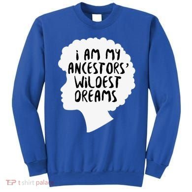 I Am My Ancestors Wildest Dreams Great Gift Sweatshirt