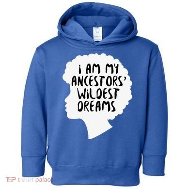 I Am My Ancestors Wildest Dreams Great Gift Toddler Hoodie