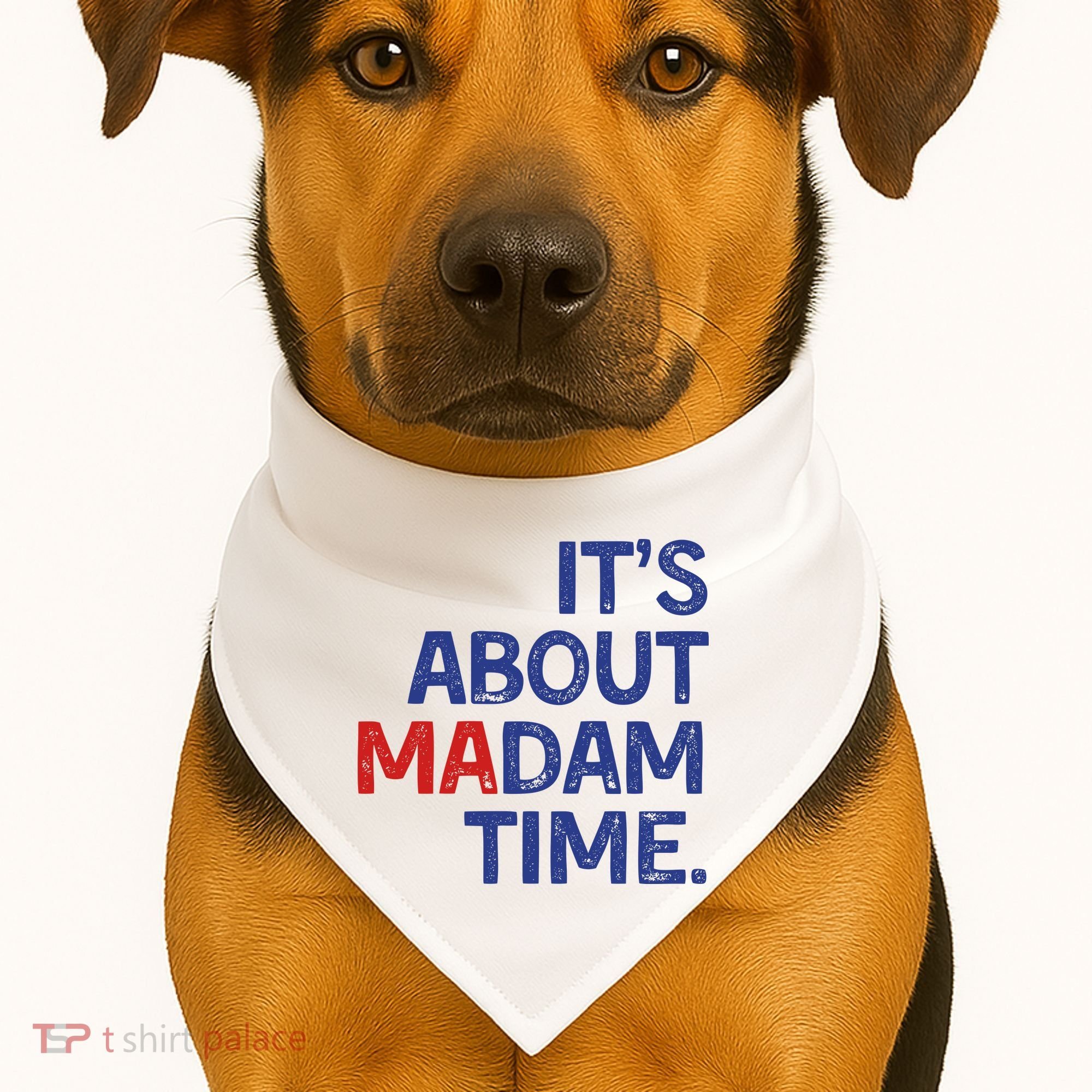 ItS About Madam Time USA-Made Doggie Bandana
