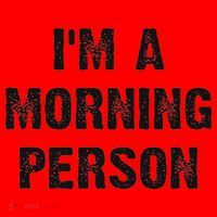 I'm A Morning Person Funny White Lie Joke Party Santa Hat thumb 1