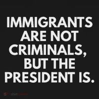 Immigrants Are Not Criminals But The President Is Women's Hoodie thumb 2