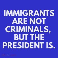 Immigrants Are Not Criminals But The President Is T-Shirt thumb 7