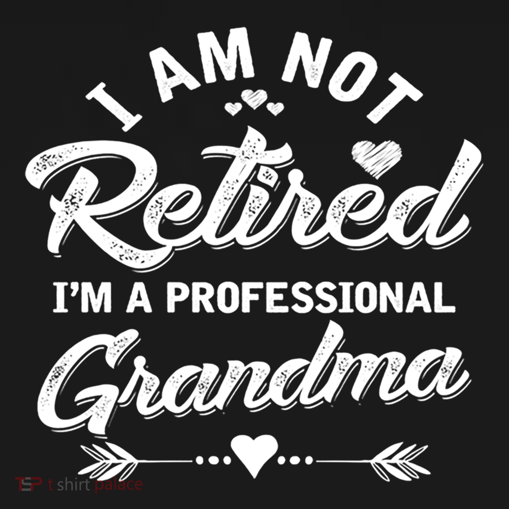 I Am Not Retired IM A Professional Grandma Gift Women's Hoodie