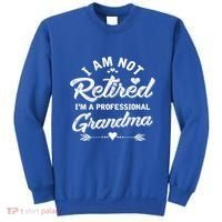 I Am Not Retired IM A Professional Grandma Gift Sweatshirt thumb 0