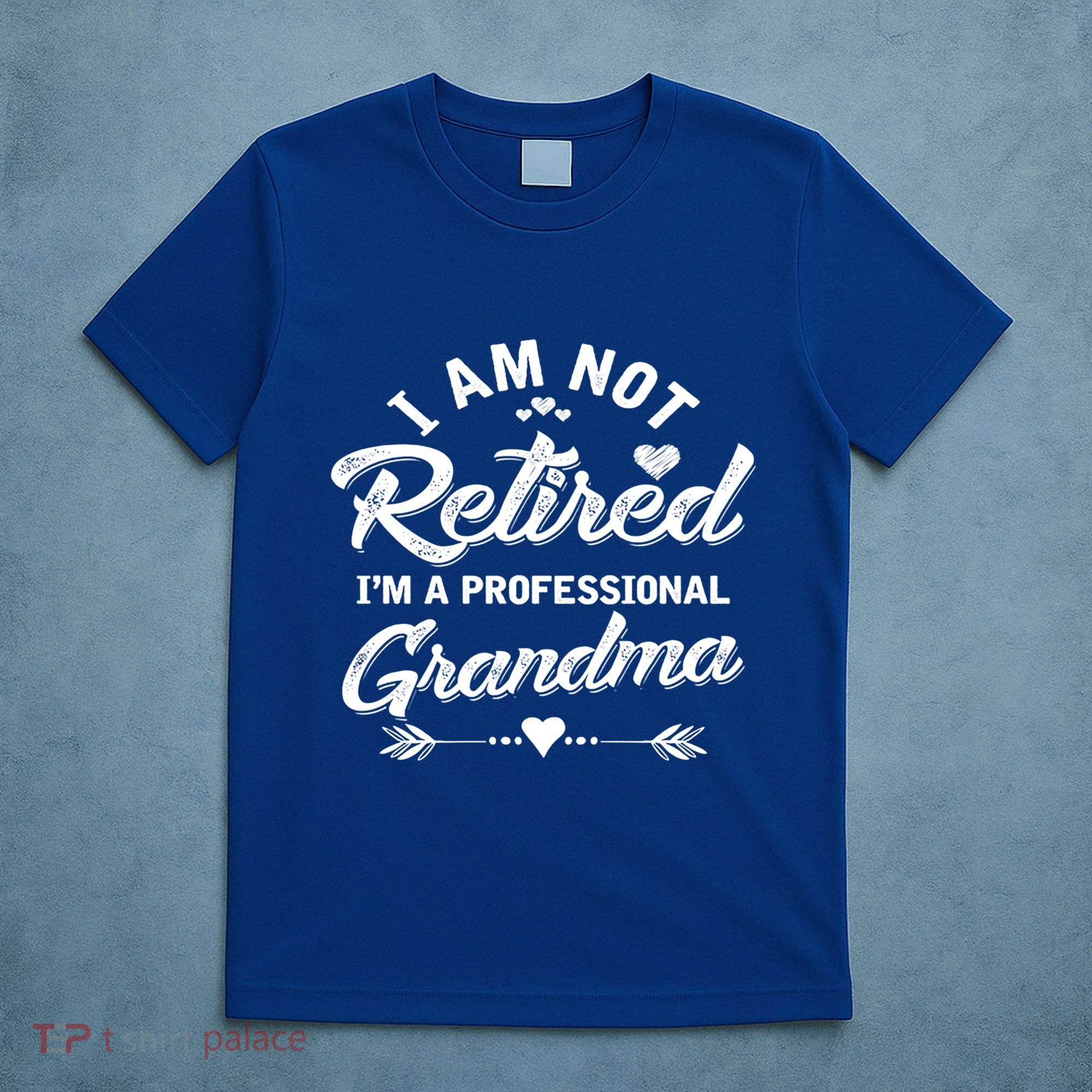 I Am Not Retired IM A Professional Grandma Gift T-Shirt