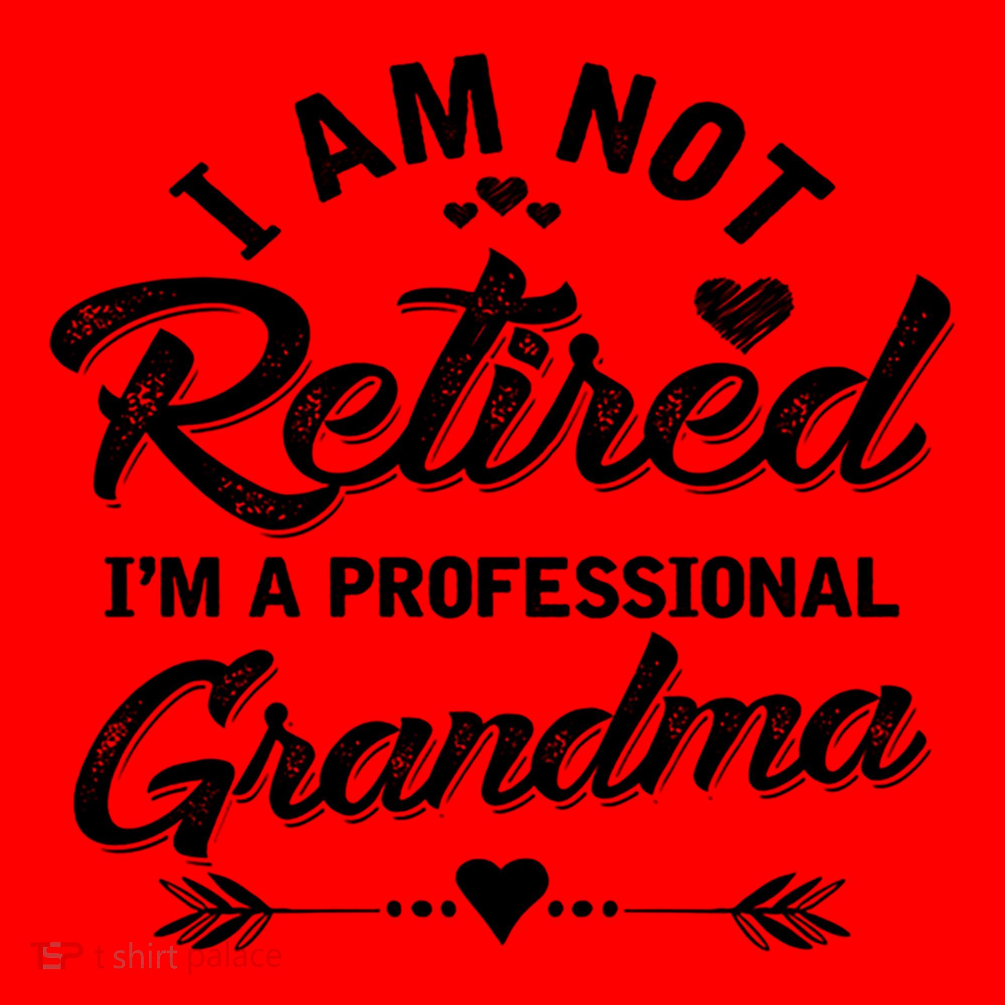 I Am Not Retired IM A Professional Grandma Gift Santa Hat