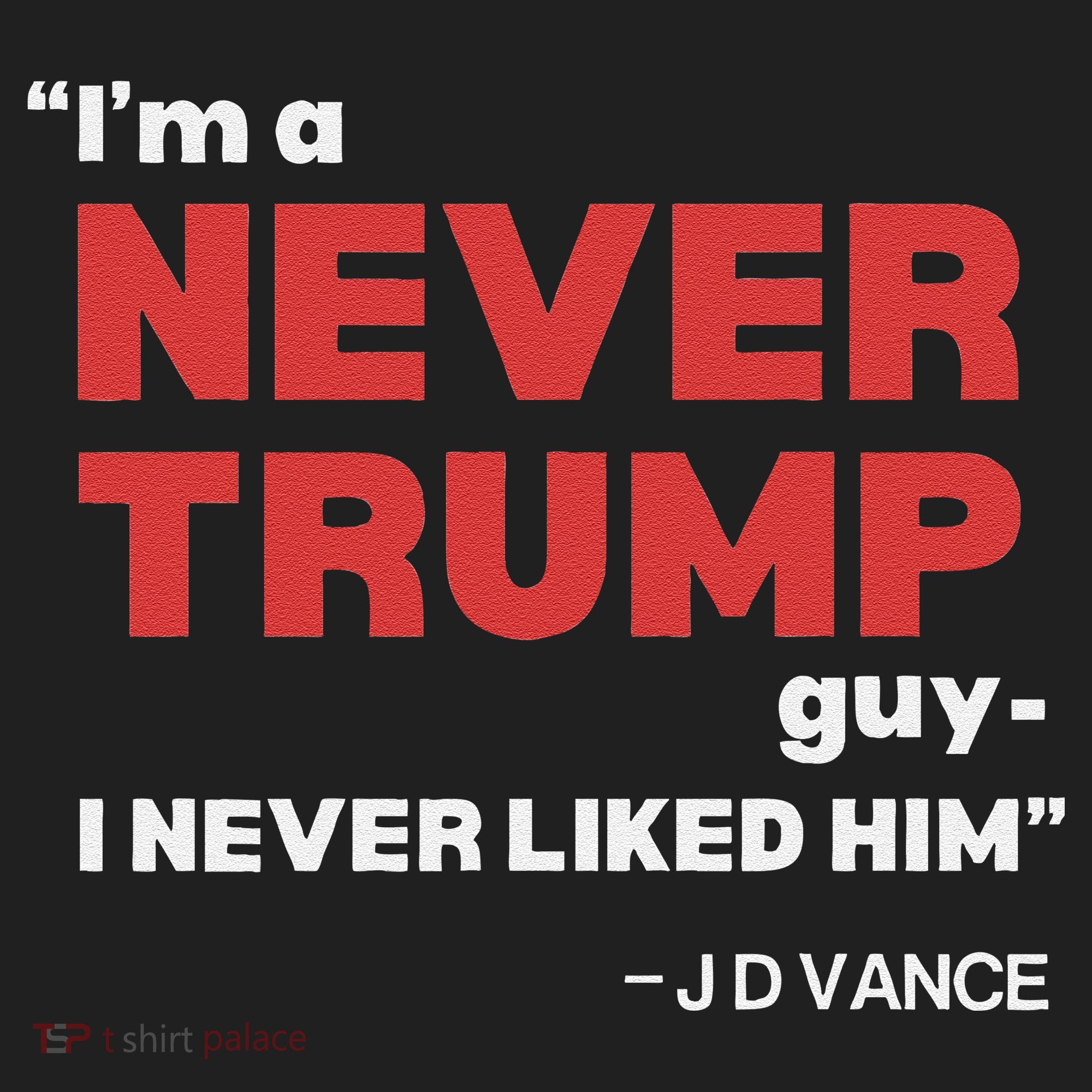 IM A Never Trump Guy I Never Liked Him Hat