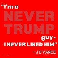 IM A Never Trump Guy I Never Liked Him Santa Hat thumb 1