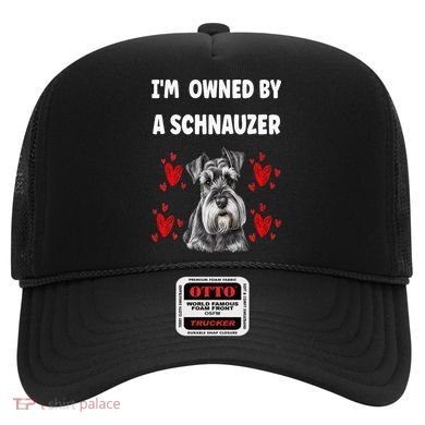 I Am Owned By A Schnauzer Hat