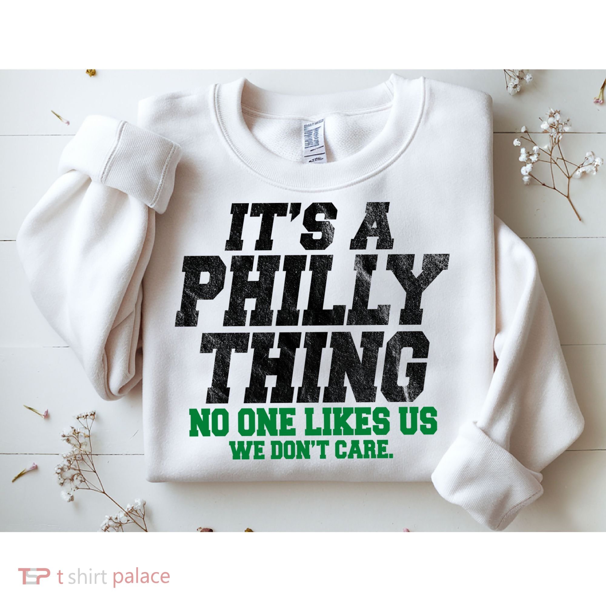 It's A Philly Thing No One Likes Us We Don't Care Funny Sweatshirt
