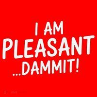I Am Pleasant Dammit Funny Sarcastic Humor Santa Hat thumb 1