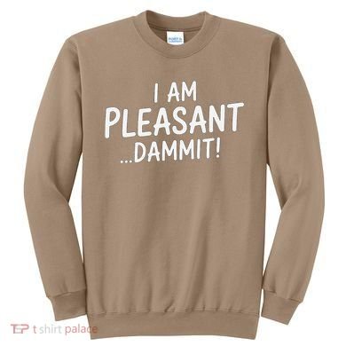 I Am Pleasant Dammit Funny Sarcastic Humor Sweatshirt