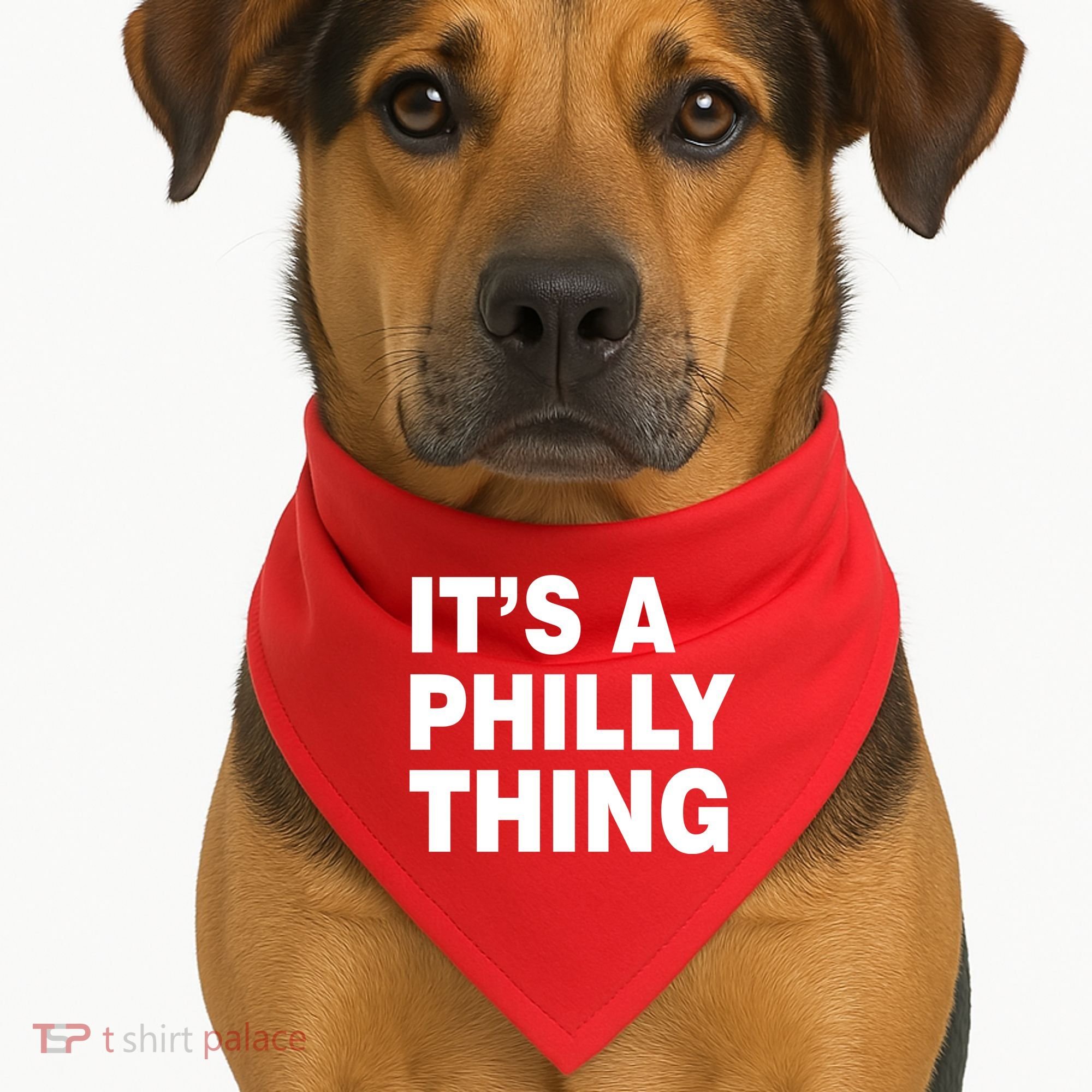Its A Philly Thing Philadelphia Fan USA-Made Doggie Bandana