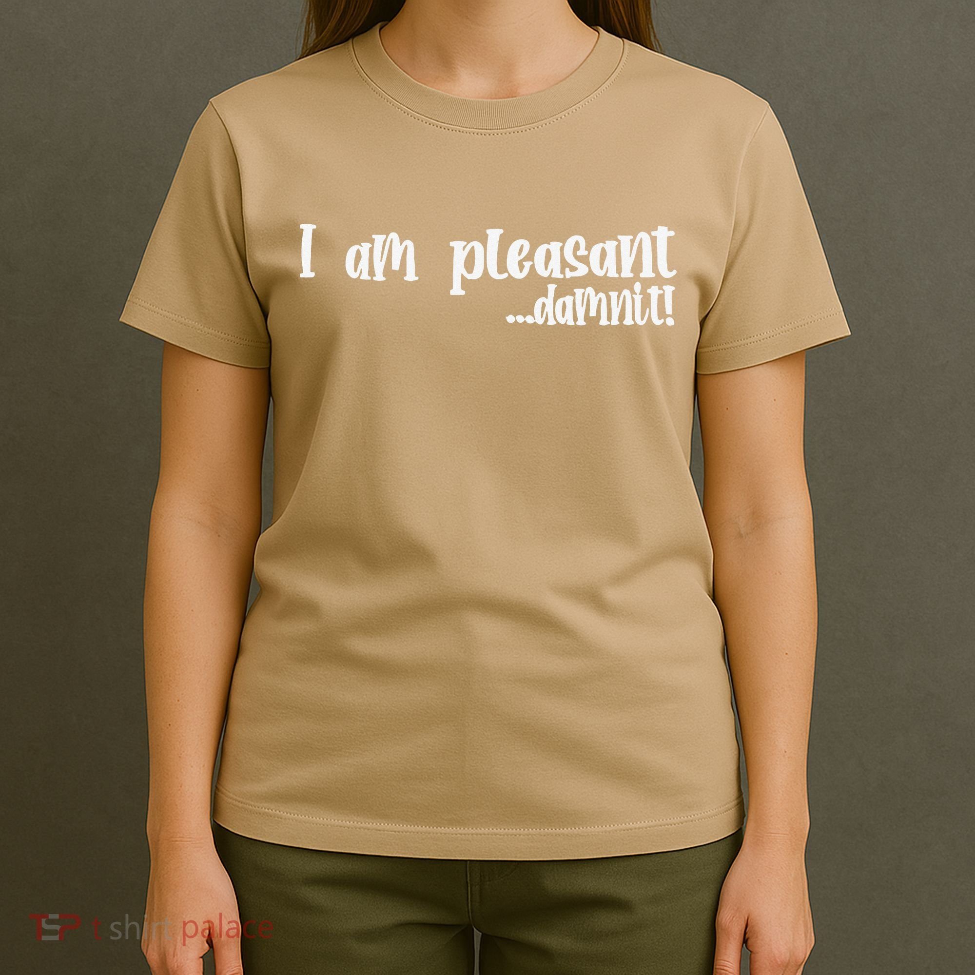 I Am Pleasant Damnit T-Shirt