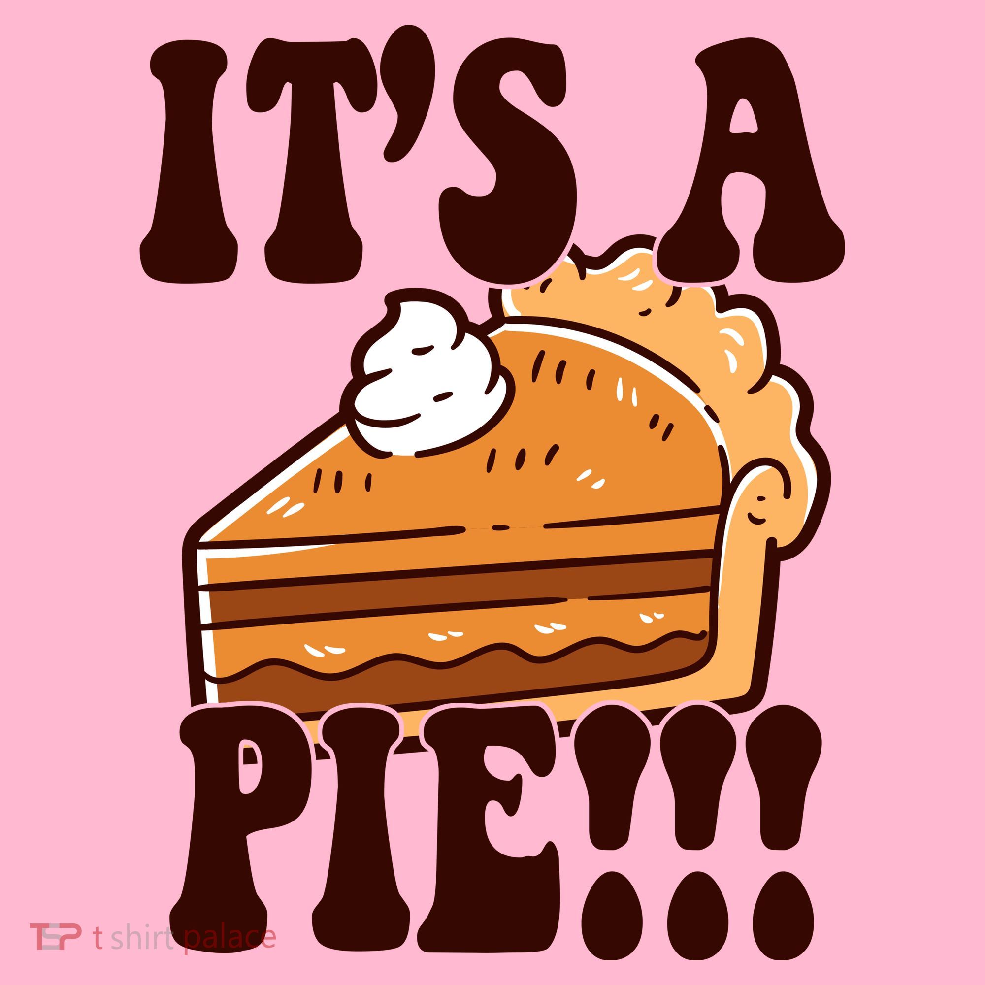Its A Pie Funny Thanksgiving Coaster