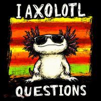 I Axolotl Questions Women's Hoodie thumb 2