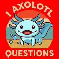 I Axolotl Questions Salamander Plush Axolotl Santa Hat thumb 1