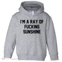 I'm A Ray Of Fucking Sunshine Toddler Hoodie thumb 0