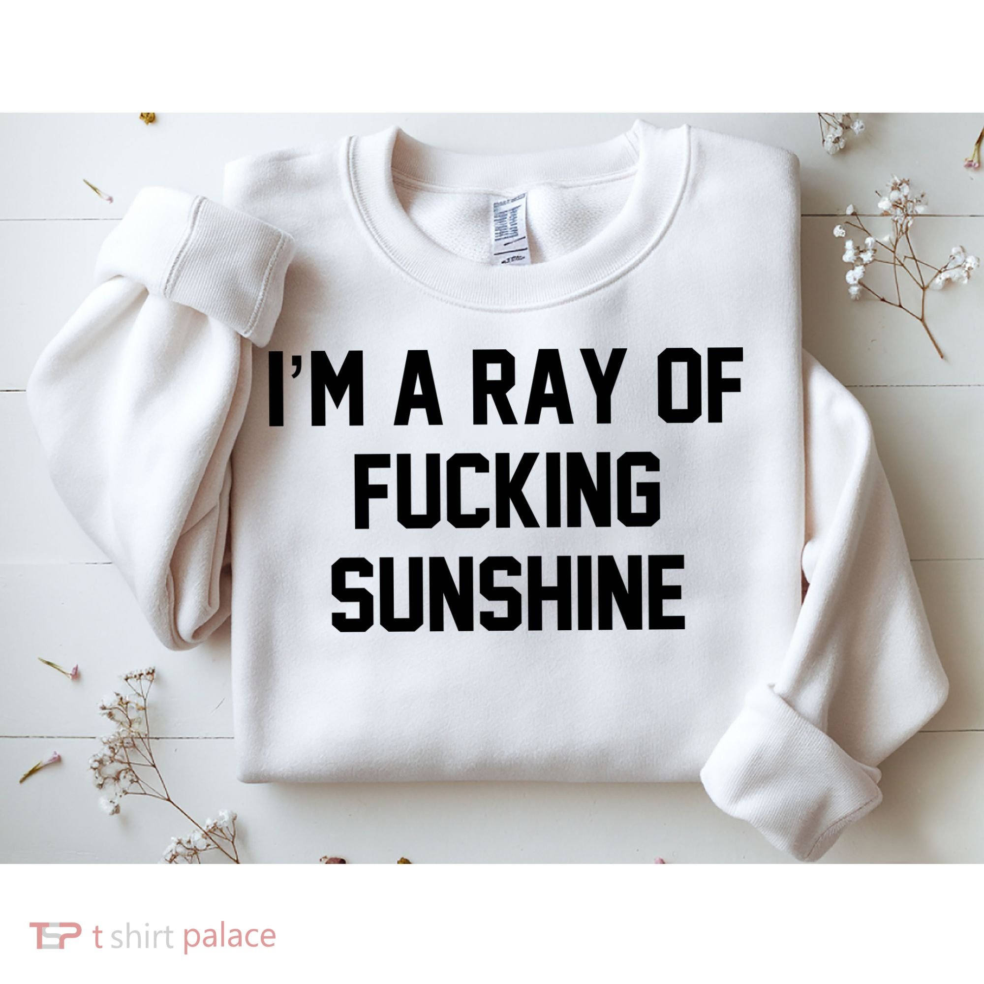 I'm A Ray Of Fucking Sunshine Sweatshirt