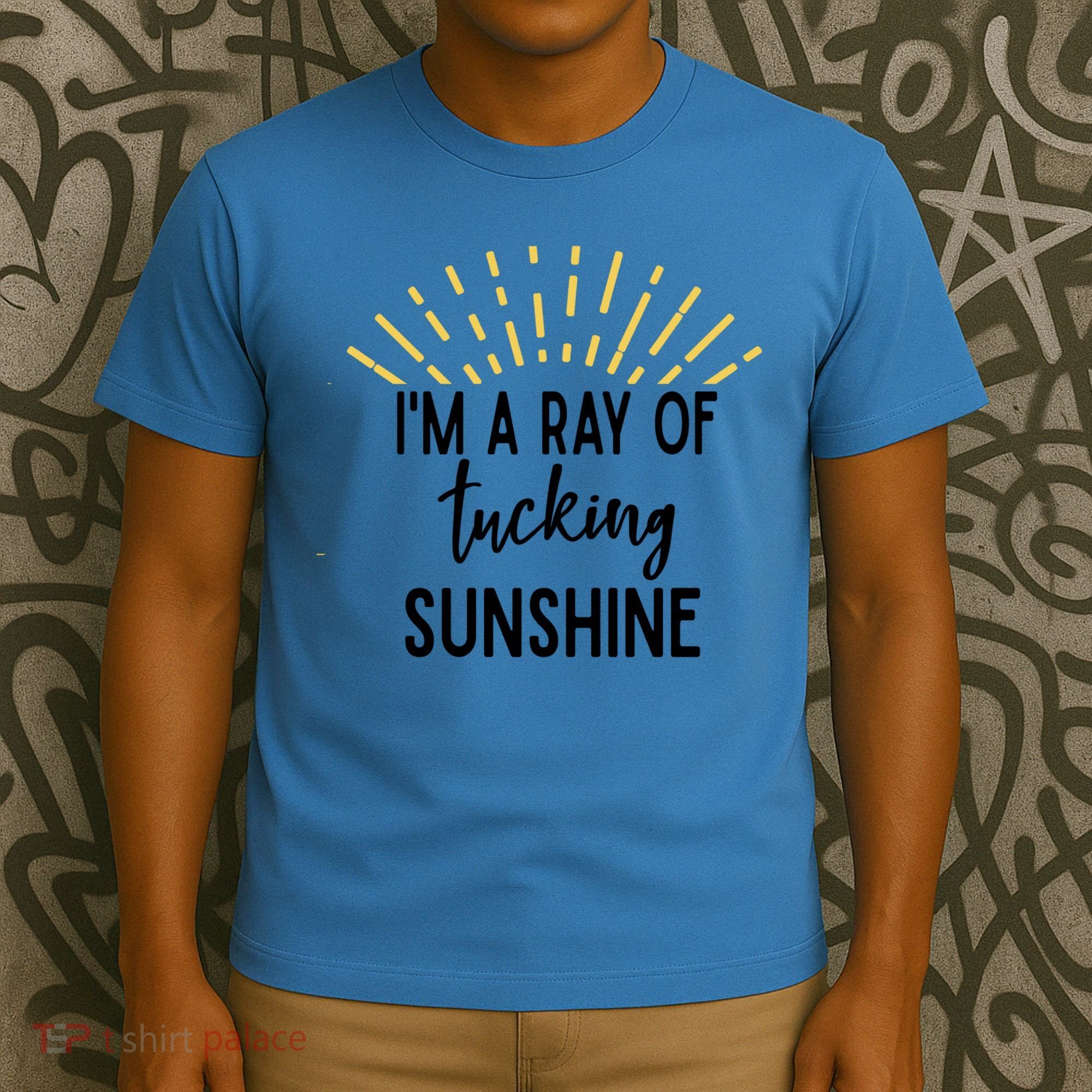 I'm A Ray Of Tucking Sunshine Sun Cute Funny Sayings Class Gift T-Shirt
