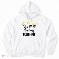 I'm A Ray Of Tucking Sunshine Sun Cute Funny Sayings Class Gift Hoodie thumb 0