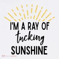 I'm A Ray Of Tucking Sunshine Sun Cute Funny Sayings Class Gift Women's Hoodie thumb 2