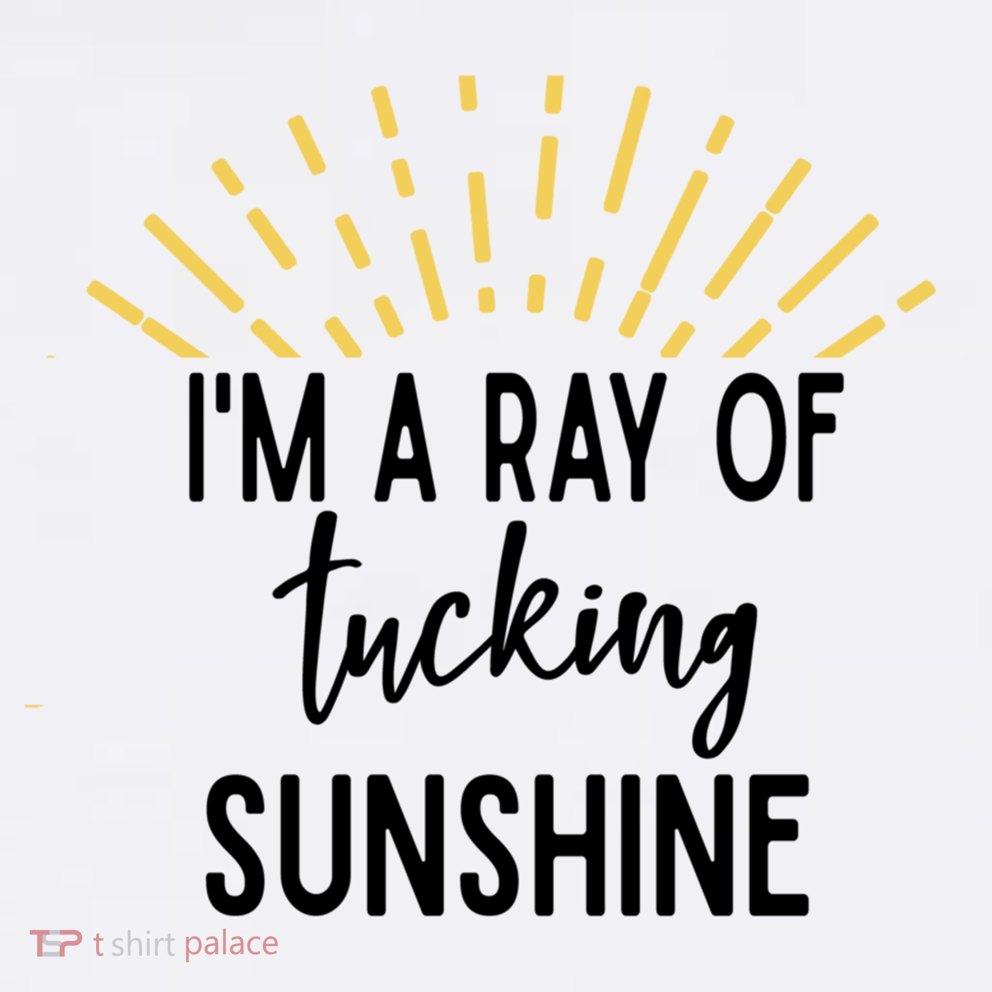 I'm A Ray Of Tucking Sunshine Sun Cute Funny Sayings Class Gift Women's Hoodie
