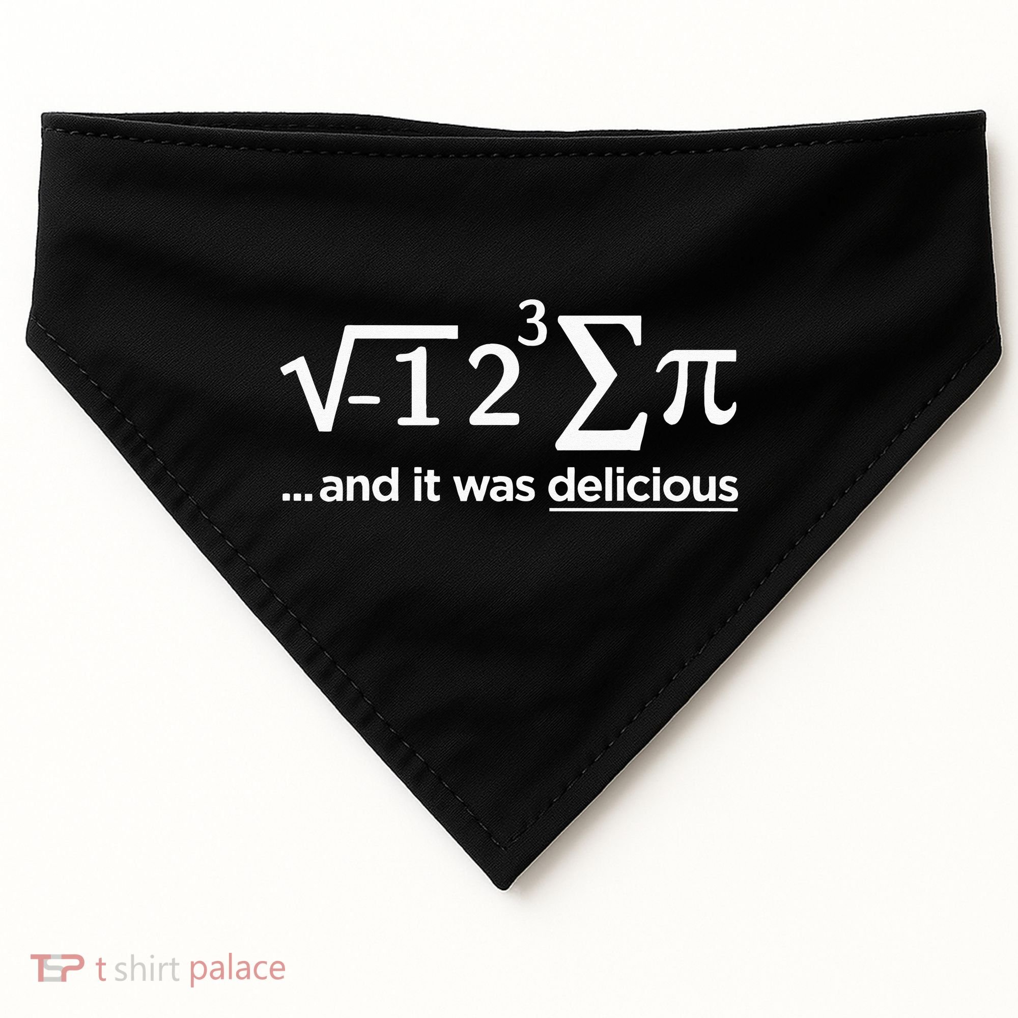 I Ate Some Pie And It Was Delicious I Ate Some Pi Math USA-Made Doggie Bandana