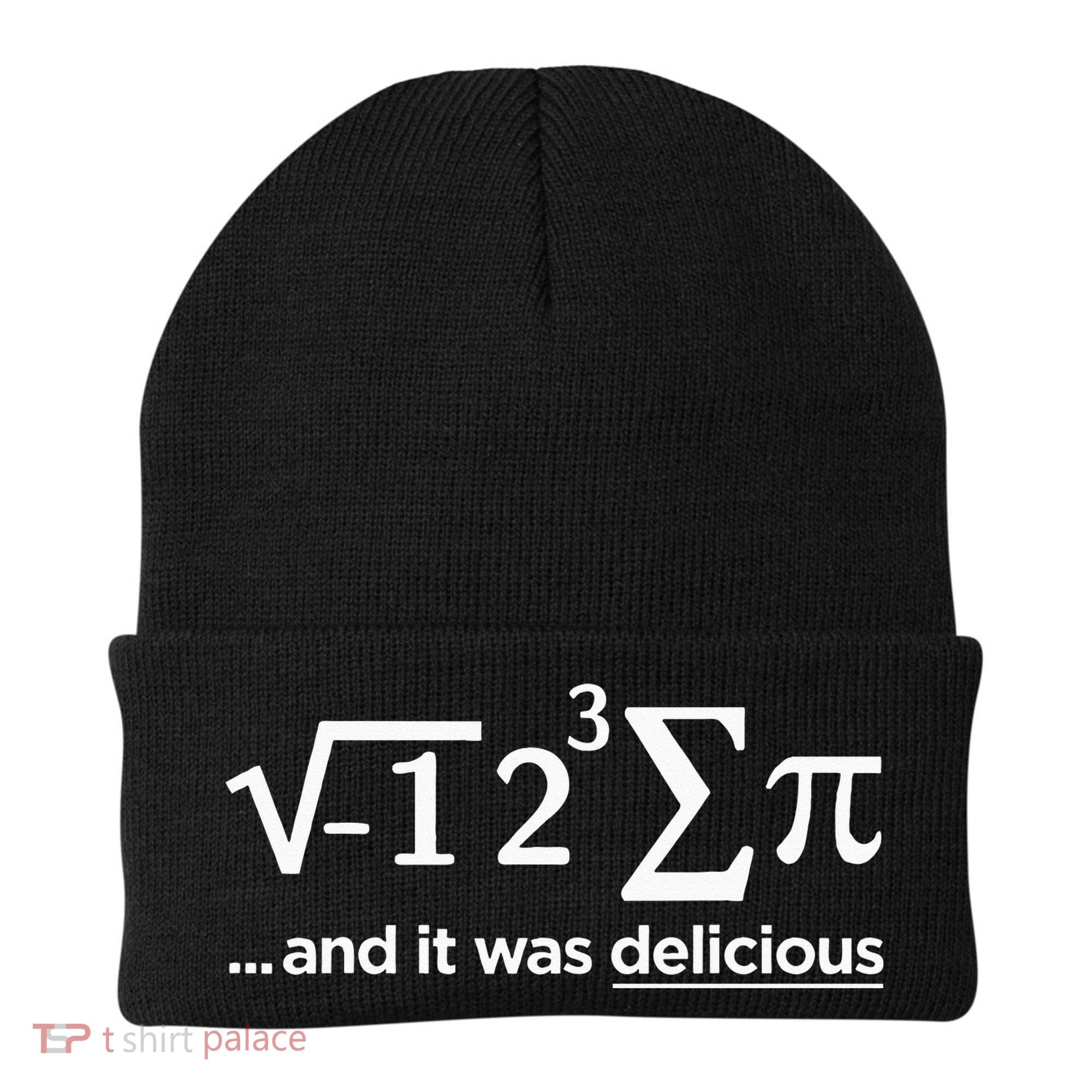 I Ate Some Pie And It Was Delicious I Ate Some Pi Math Beanie