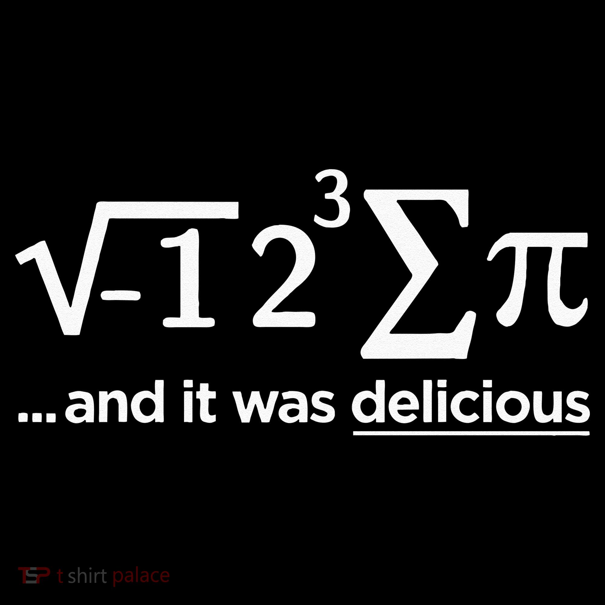 I Ate Some Pie And It Was Delicious I Ate Some Pi Math Women's Hoodie