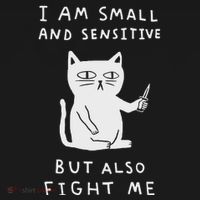 I Am Small And Sensitive But Also Fight Me Cat Women's Hoodie thumb 2