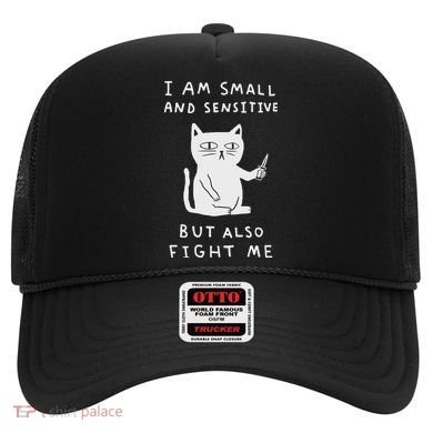 I Am Small And Sensitive But Also Fight Me Cat Hat