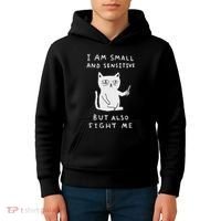 I Am Small And Sensitive But Also Fight Me Cat Kids Hoodie thumb 4